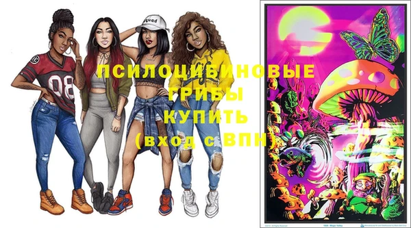 спиды Алексин