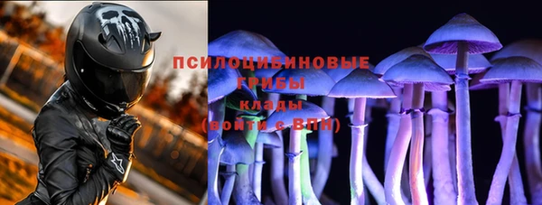 хмурый Алзамай