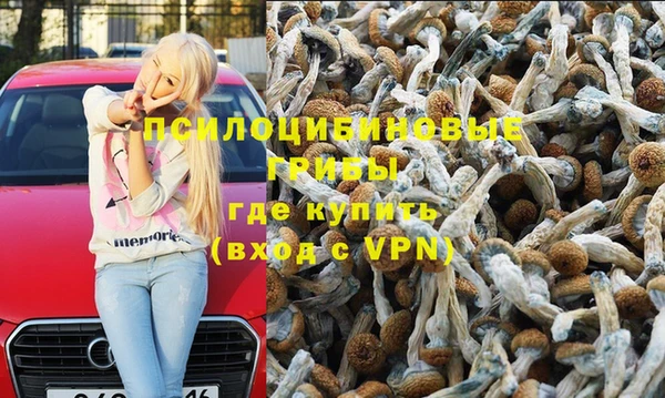 спиды Алексин