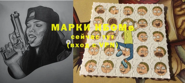 хмурый Алзамай